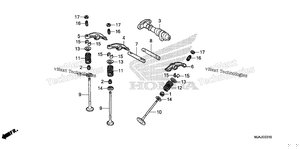 Camshaft@Valve (Rr.)