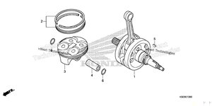 Crankshaft@Piston