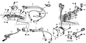 Ignition Coil + Ecu