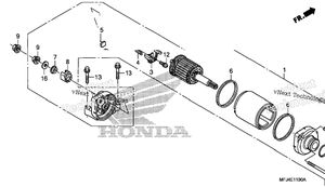 Starter Motor