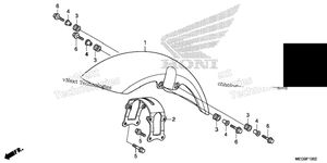 Front Fender (3)