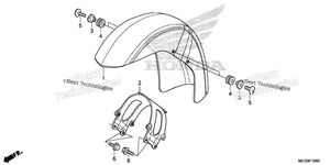 Front Fender (1)