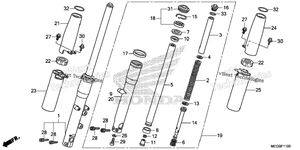 Front Fork (1)