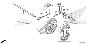 Rear Brake Panel
