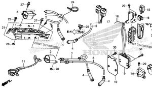 Ignition Coil + Ecu