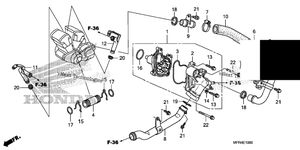 Нажмите для увеличения Water Pump