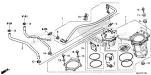 Fuel Pump (1)