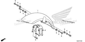 Front Fender (3)