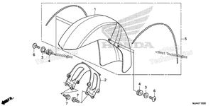 Front Fender (1)
