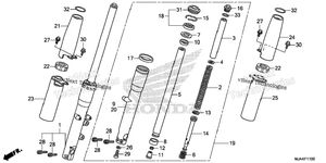 Front Fork (1)
