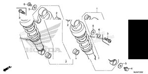 Rear Shock Absorber (3)