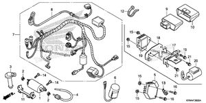 Нажмите для увеличения Wire Harness