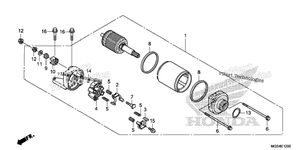 Starting Motor