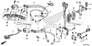 Ignition Coil + Ecu