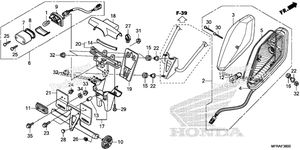 Taillight + License Light (1)