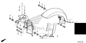Front Fender (2)