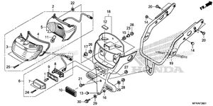 Taillight + License Light (2)
