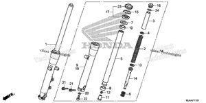 Front Fork (2)