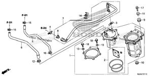 Fuel Pump (1)