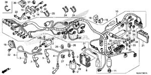 Wire Harness (2)