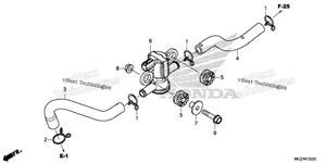Air Injection Solenoid Valve