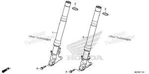Front Fork (2)