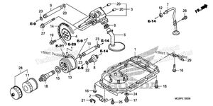 Oil Pump@Oil Pan