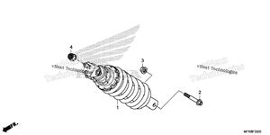 Rear Shock Absorber (1)