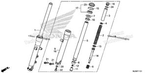 Front Fork (2)