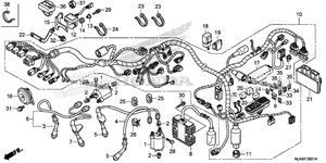 Wire Harness (2)