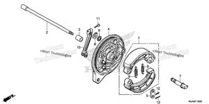 Rear Brake Panel
