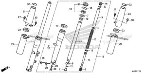 Front Fork (1)