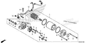 Starter Motor