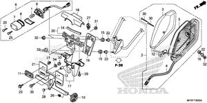 Taillight + License Light (1)