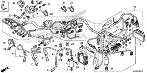 Wire Harness (2)