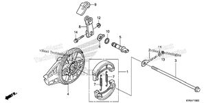 Rear Brake Panel