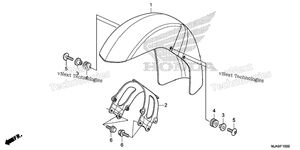 Front Fender (1)