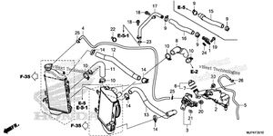 Radiator Hose