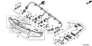 Rear Combination Light