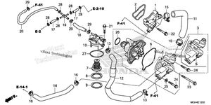 Нажмите для увеличения Water Pump