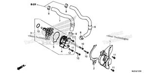Нажмите для увеличения Water Pump