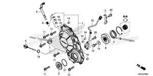 Right Crankcase Cover