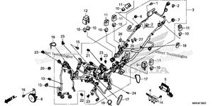 Wire Harness