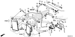 Radiator Hose@Water Pipe