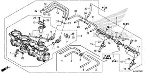Throttle Body