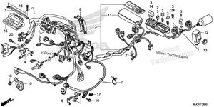 Wire Harness