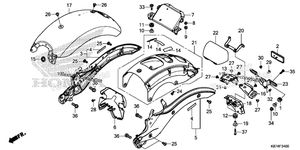 Rear Fender (1)