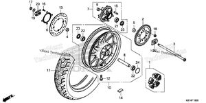 Rear Wheel