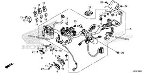 Wire Harness (1)