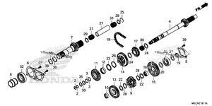Transmission (Mainshaft) (Dct)